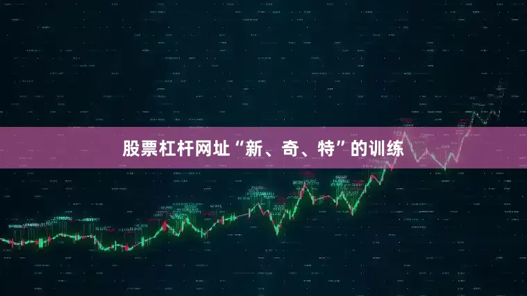 股票杠杆网址“新、奇、特”的训练