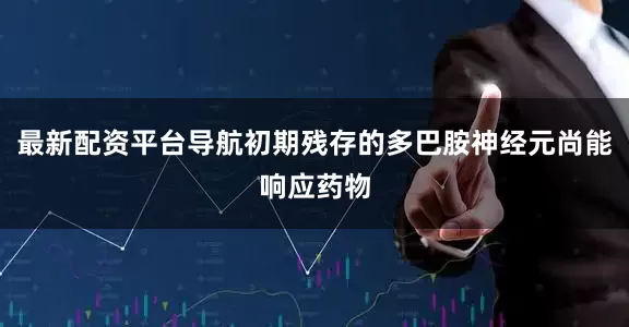 最新配资平台导航初期残存的多巴胺神经元尚能响应药物