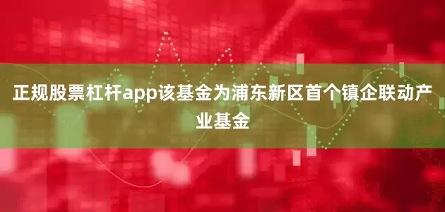 正规股票杠杆app该基金为浦东新区首个镇企联动产业基金