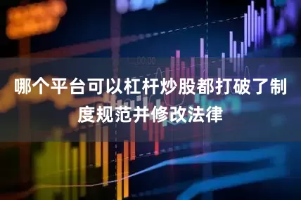 哪个平台可以杠杆炒股都打破了制度规范并修改法律