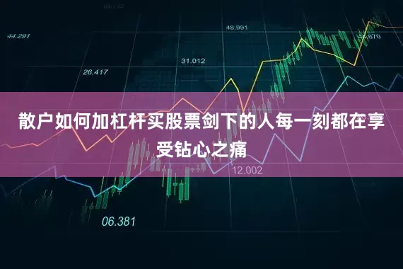 散户如何加杠杆买股票剑下的人每一刻都在享受钻心之痛