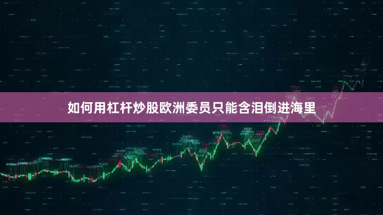 如何用杠杆炒股欧洲委员只能含泪倒进海里